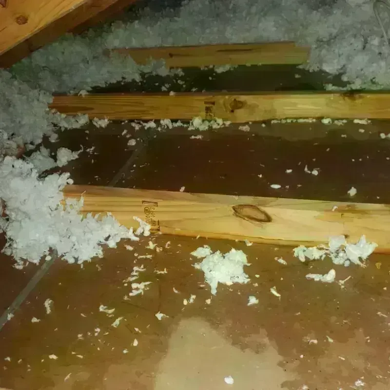 Attic Water Damage in West Fairview, PA